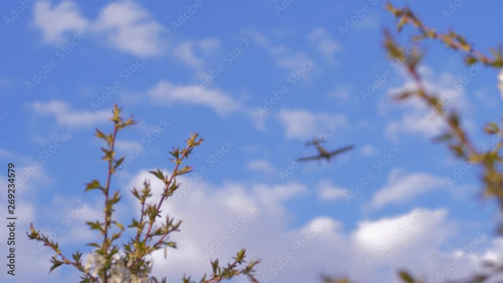 take me away, little boy raises hands up to plane flying in clear blue sky close-up take me away, little boy raises hands up to plane flying in clear blue sky close-up