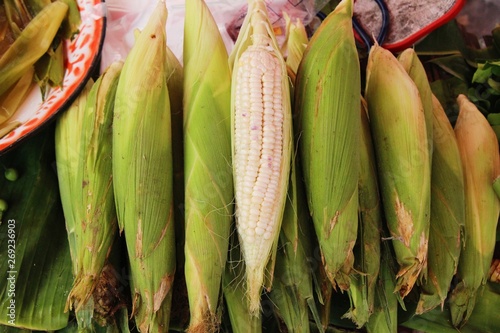 Fresh corn for cooking in the market