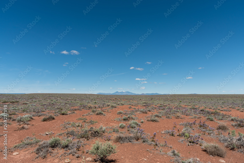 Fototapeta premium Beautiful Northern Arizona high desert vista in springtime
