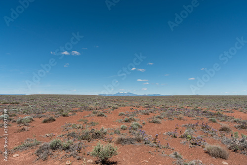 Beautiful Northern Arizona high desert vista in springtime
