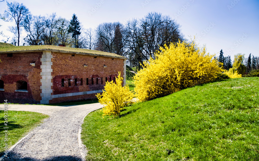 Fototapeta premium House in the Countryside