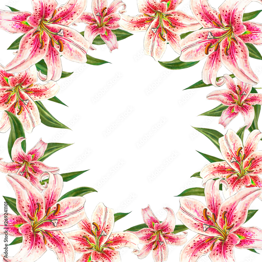 Obraz premium Beautiful pink lily frame. Bouquet of flowers. Floral print. Marker drawing. Watercolor painting. Wedding and birthday festive composition. Greeting card. Painted background. Hand drawn illustration.
