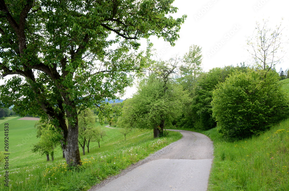 Countryside in the Mühlviertel region in Upper Austria Countryside in the Mühlviertel region in Upper Austria