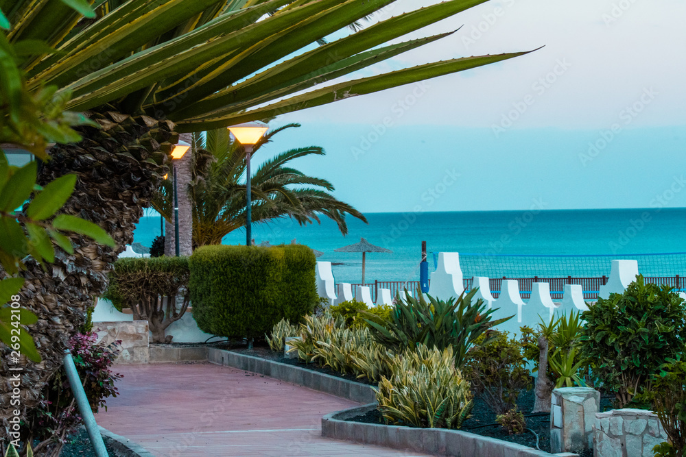 Fototapeta premium tropical beach with palm trees