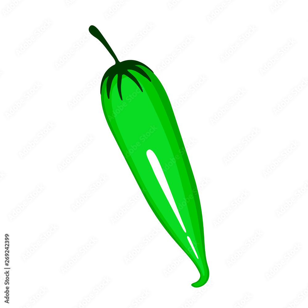 Isolated green cactus on a white background - Vector Isolated green cactus on a white background - Vector