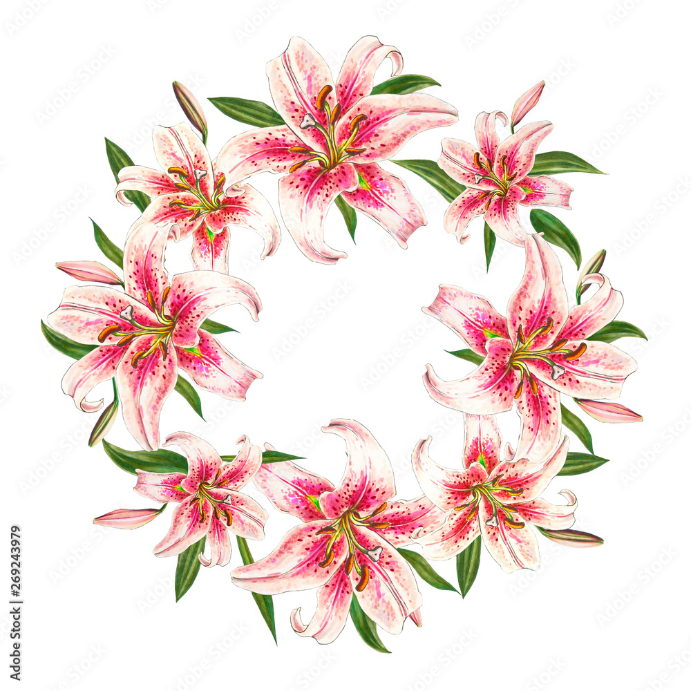 Beautiful pink lily wreath. Bouquet of flowers. Floral print. Marker drawing. Watercolor painting. Wedding and birthday festive composition. Greeting card. Painted background. Hand drawn illustration.