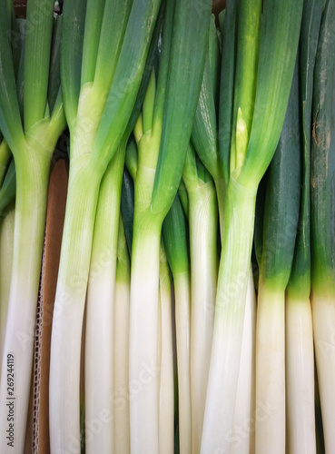 Green spring onions, Fresh Spring Onions are healthy Scallion. Close up 