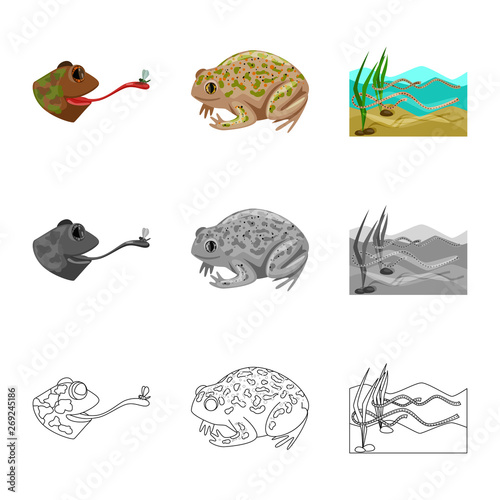 Vector design of wildlife and bog icon. Set of wildlife and reptile stock vector illustration.