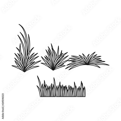Isolated object of grass and bush logo. Collection of grass and garden stock symbol for web.