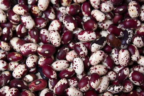 red kidney beans background