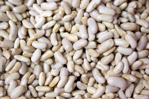 background of white beans