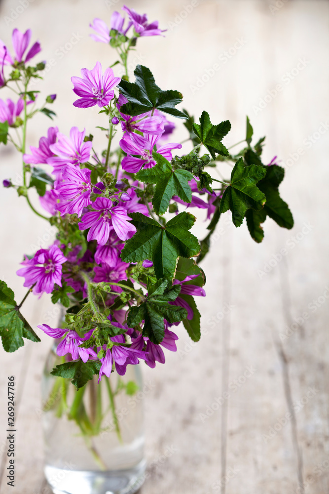 Wild violet flowers in glass bottle on rustic wooden table. Wild violet flowers in glass bottle on rustic wooden table.
