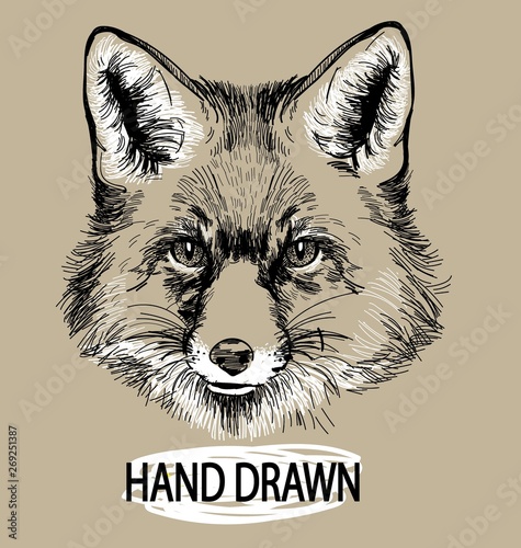 Fox. Professional drawing in vintage style. Cute fluffy fox. Arctic fox in winter coat. Freehand drawing. Ink drawing, drawing pen. 