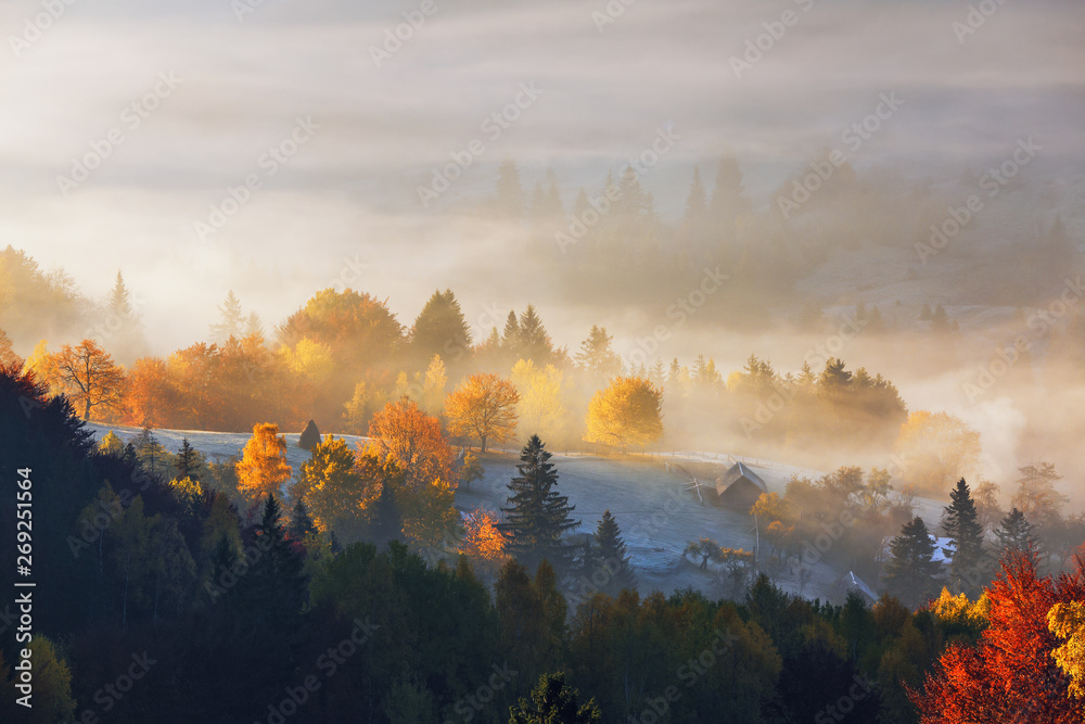 Fototapeta premium The lawn is enlightened by the sun rays. Majestic autumn rural landscape. Fantastic scenery with morning fog. Green meadows in frost. Picturesque resort Carpathians valley, Ukraine, Europe.