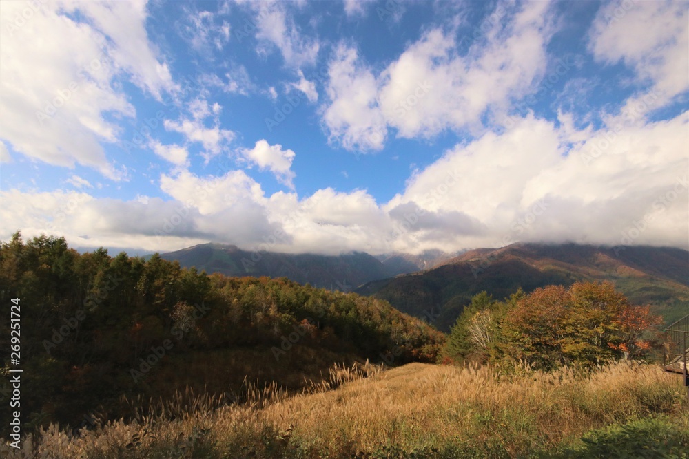 Obraz premium 白馬の紅葉と山脈