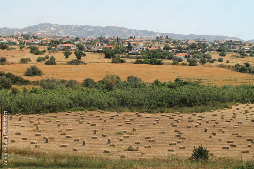 Rural landscape with fields and mountains