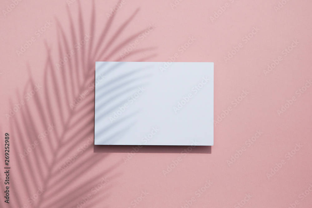 Tropical palm leaf shadow on a white card frame. Exotic summer background. Tropical palm leaf shadow on a white card frame. Exotic summer background.