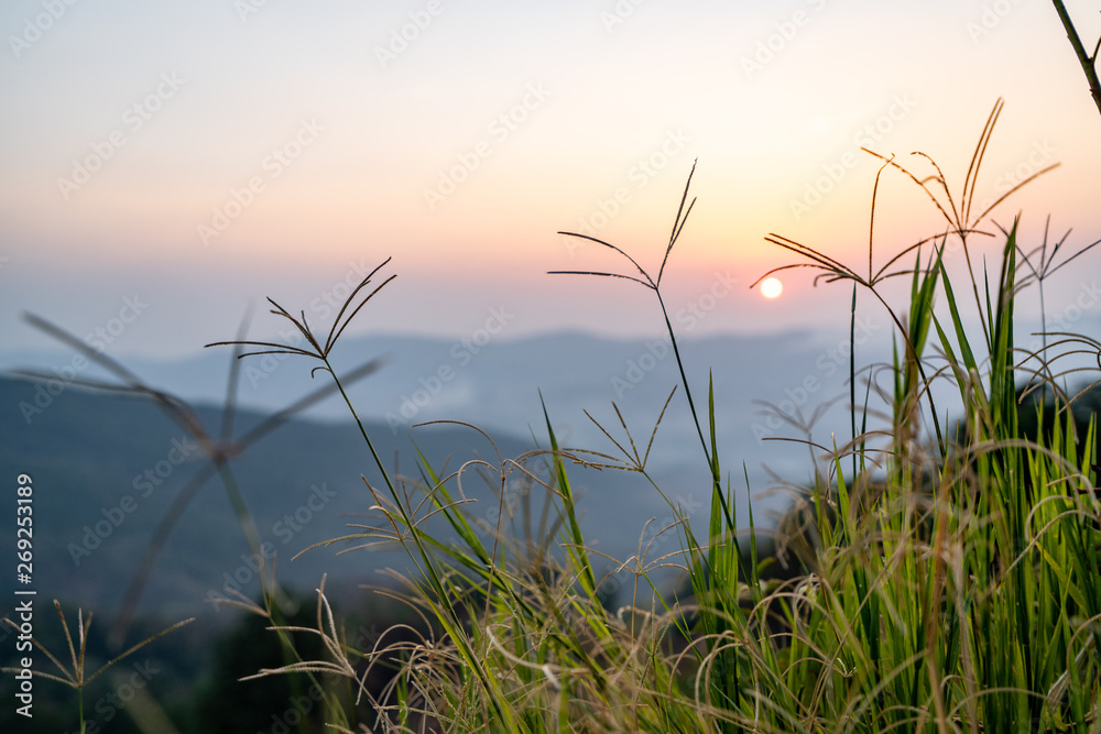 sunset on top of the mountain in chiangrai, phuchi-fah