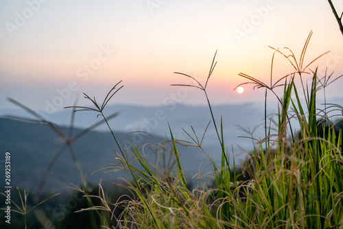 sunset on top of the mountain in chiangrai, phuchi-fah
