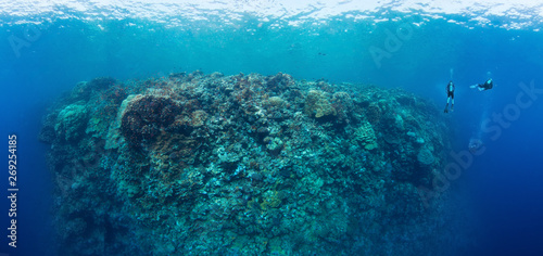 Underwater coral reef landscape super wide banner background in the deep blue ocean with group of divers.