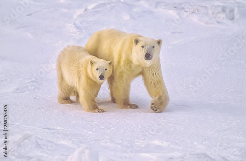 Polar bear and cub,photo art