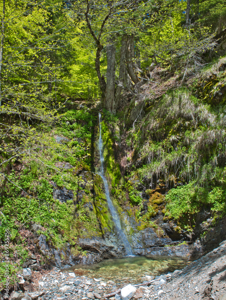Fototapeta premium Small mountain waterfall, Calabria, Italy.