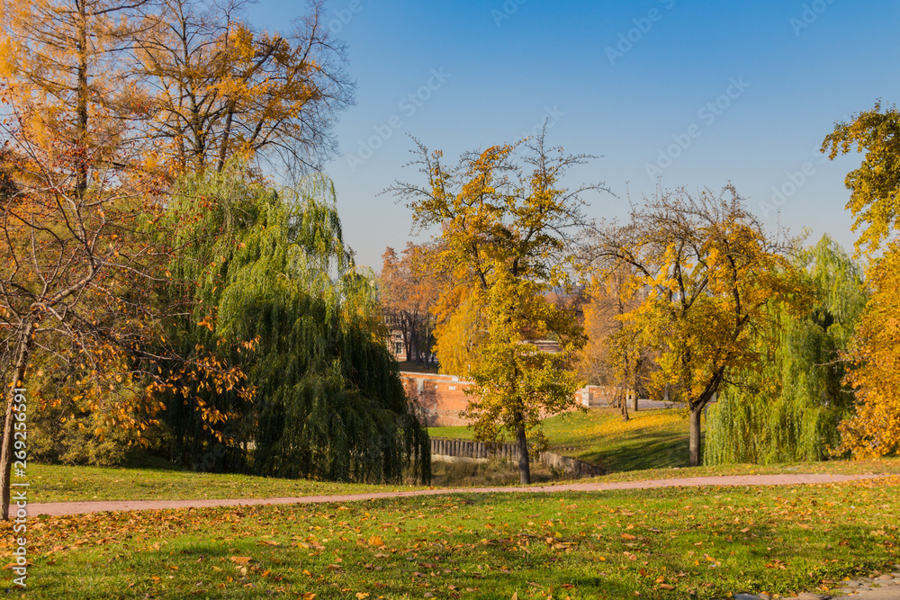 Landscape view of the autumn park
