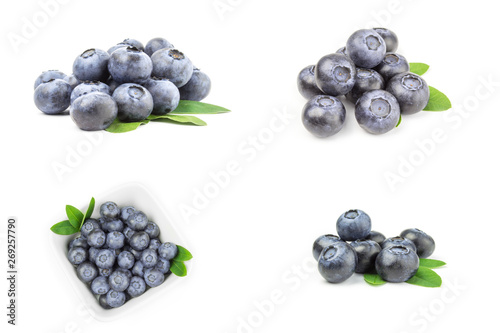 Collection of fresh blueberry photo