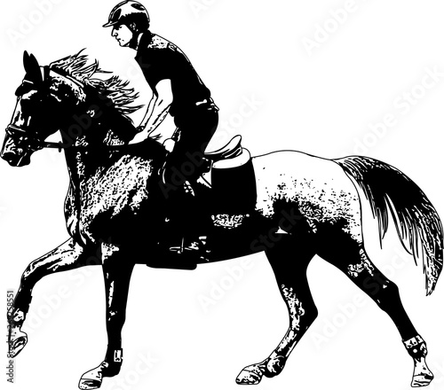 young horseman riding elegant horse sketch illustration - vector