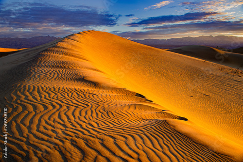 Fototapeta Naklejka Na Ścianę i Meble -  Mesquite Sand Dunes