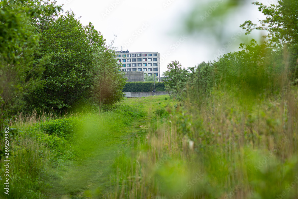 Fototapeta premium house on the river