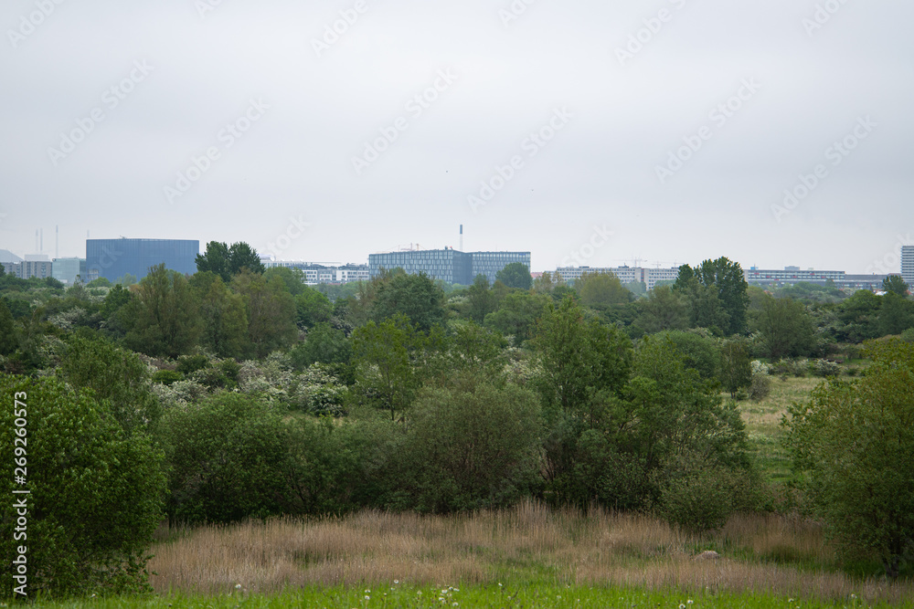 Nature at amager Copenhagen