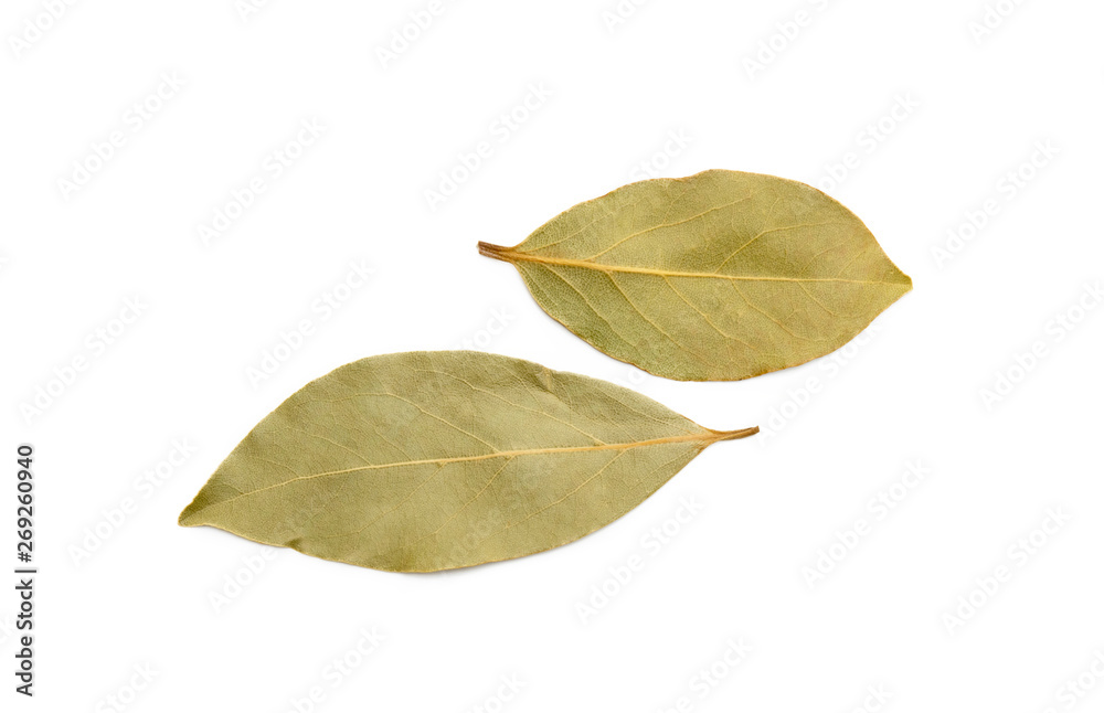 Dried bay leaf isolated on white background Dried bay leaf isolated on white background