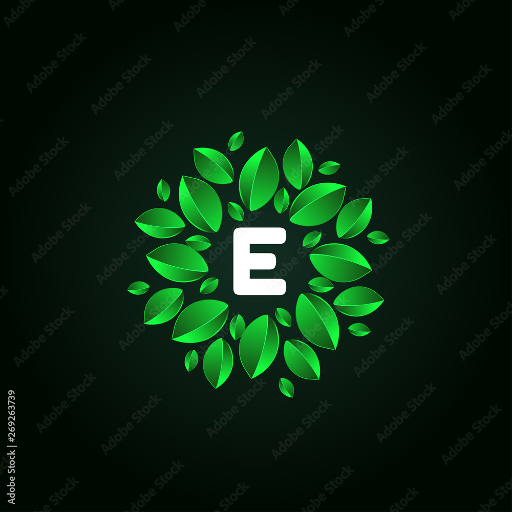 Fototapeta premium E Letter alphabet logo template