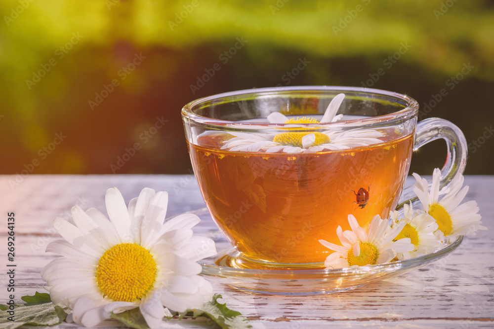 A cup of fragrant, fragrant chamomile tea, in the rays of the evening beautiful sunset. A cup of fragrant, fragrant chamomile tea, in the rays of the evening beautiful sunset.