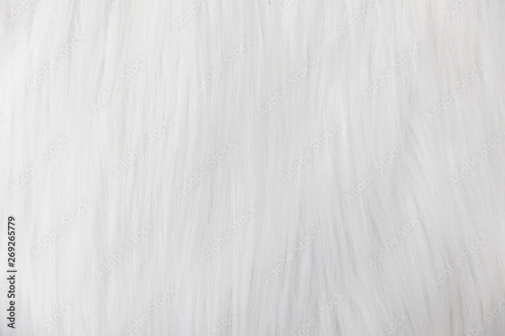 close-up of soft beige fluffy fur, wool, carpet texture background. close-up of soft beige fluffy fur, wool, carpet texture background.
