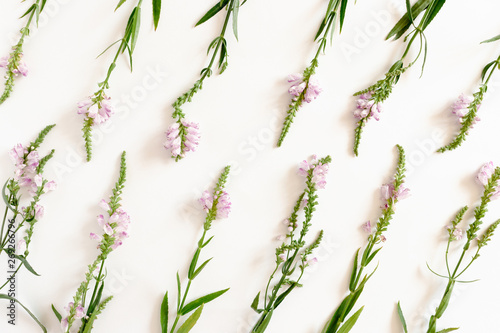 Wildflowers pattern on a white background