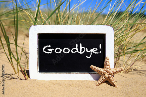 Goodbye! photo