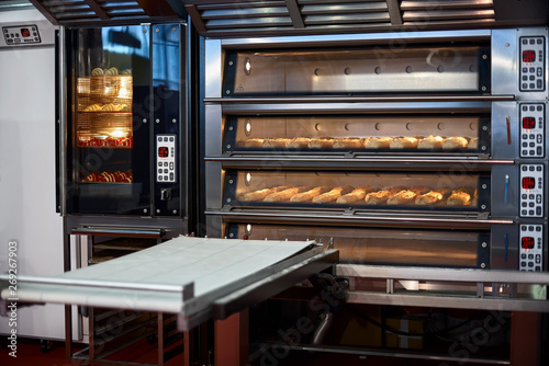 Murais de parede Industrial convection oven with cooked bakery products for catering