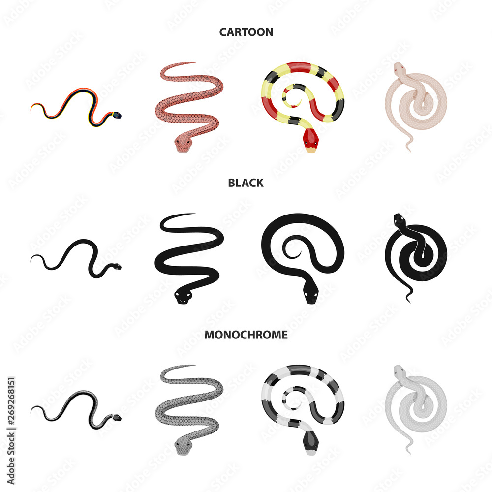 Vector illustration of mammal and danger logo. Collection of mammal and medicine stock symbol for web.