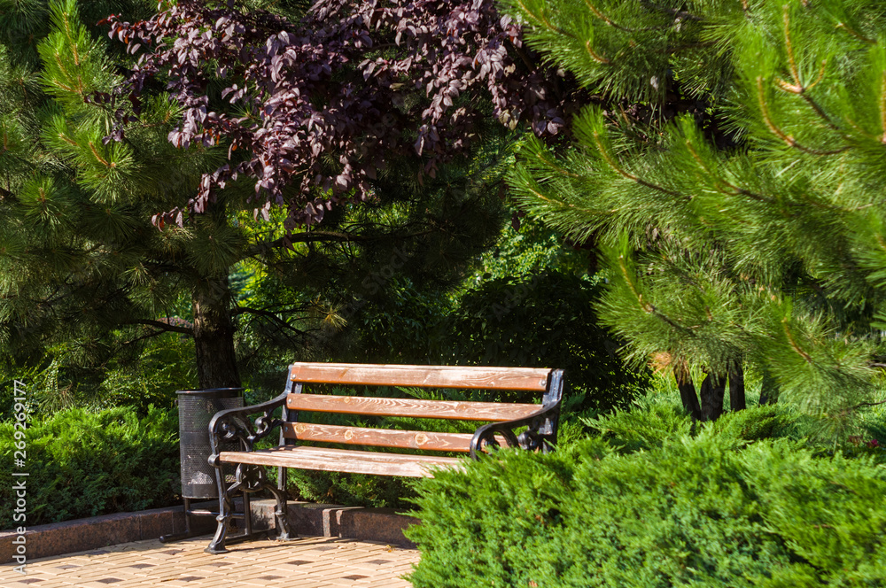 early summer landscape, old Park, benches, trees, bushes, green grass, bright green leaves early summer landscape, old Park, benches, trees, bushes, green grass, bright green leaves