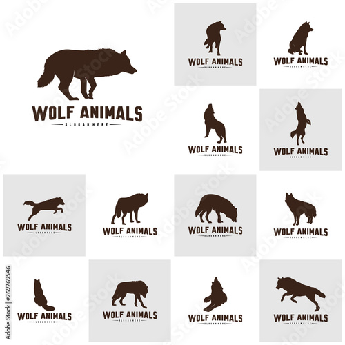 Set of Wolf Abstract Logo Design Vector Illustration. Wolf Logo Template. Simple flat style. Icon Symbol.