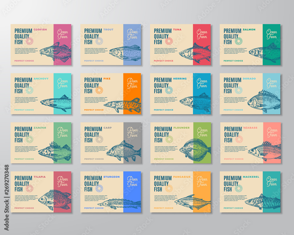 Sixteen Premium Quality Fish Labels Set. Abstract Vector Packaging Design or Label. Modern Typography and Hand Drawn Fish Sketch Silhouettes Background Layouts with Soft Shadows.