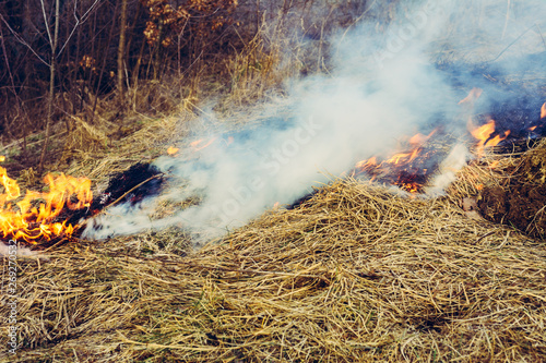 Fungal grass and smoke that spreads through the earth are very dangerous to human health