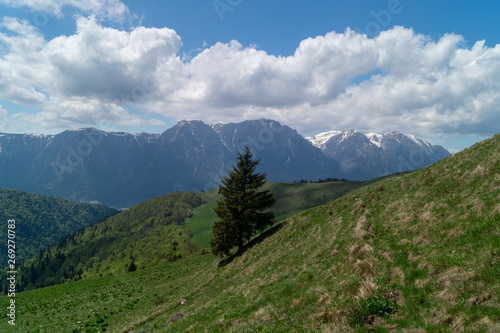 View from the Baiului Mountains or Gârbova Mountains - Bucegi Mountains, Carpathian Mountains, Prahova, Romania © ramona georgescu