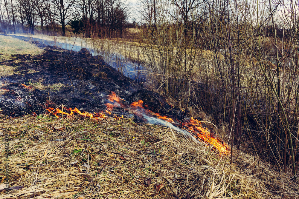 Fallen dry grass is dangerous to the lives of small animals and insects, as well as harm to human health Fallen dry grass is dangerous to the lives of small animals and insects, as well as harm to human health