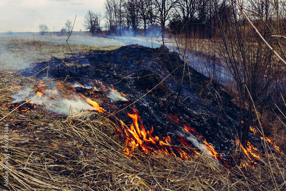 Let's say stop burning dry grass, it is dangerous