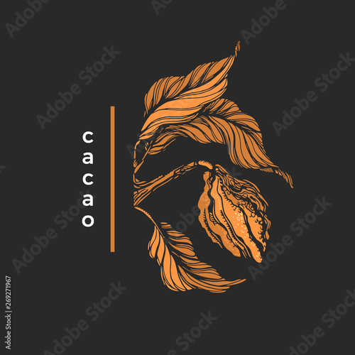 Vector of cocoa tree. Tropical symbol