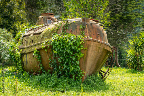 barco de rescate abandonado y lleno de hierbas  photo