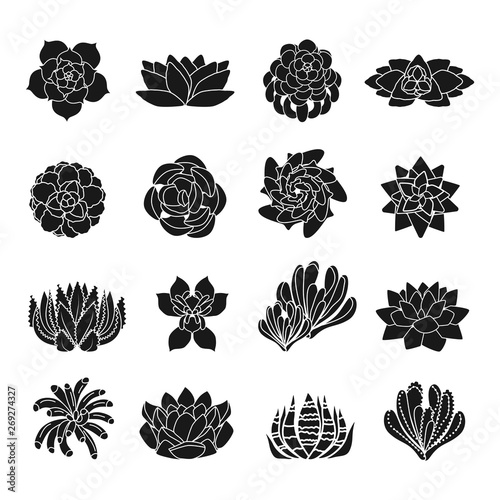 Succulent icons set. Simple set of succulent vector icons for web design on white background
